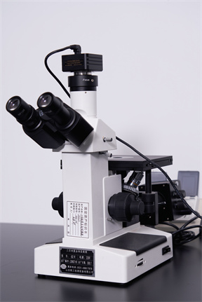 金相显微镜Metallographic microscope