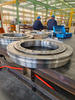 Customized Flange Type Slewing Bearing Trailer Bearing without Gear 